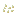 Pumpkin Seeds